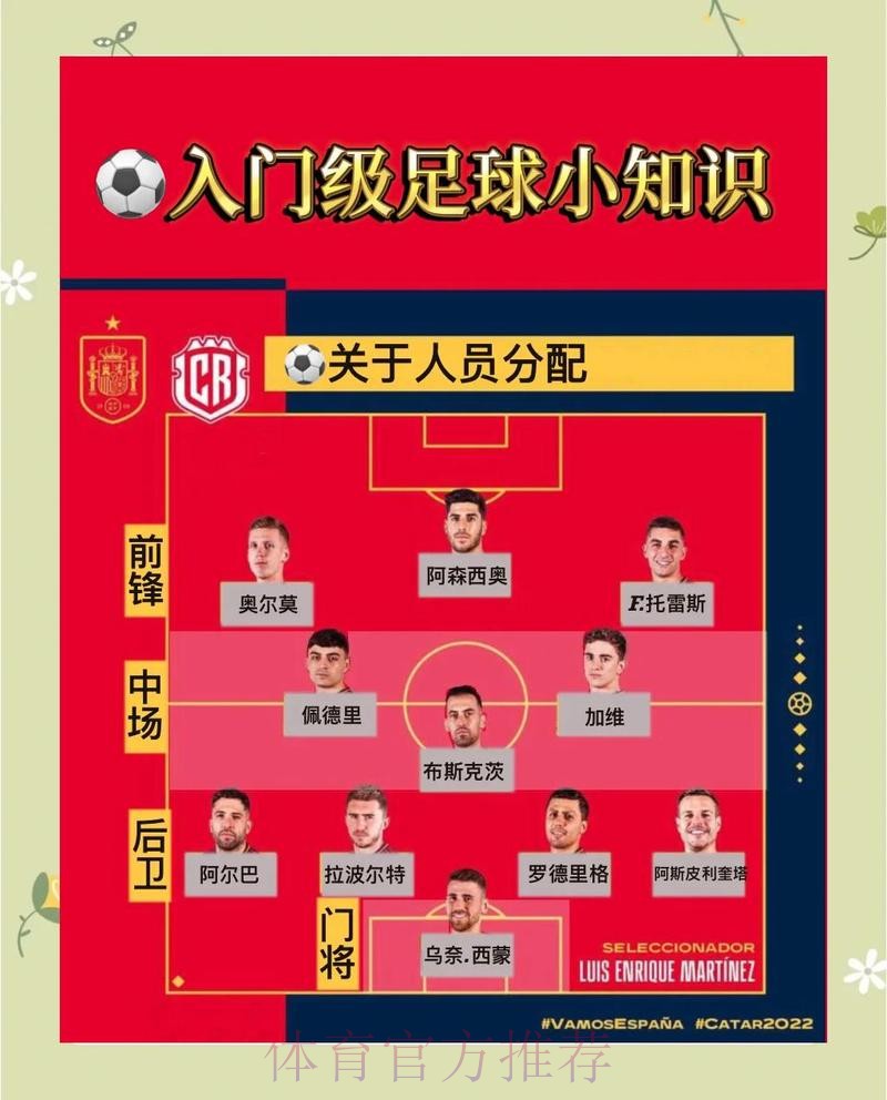 世界杯下注：从小白到高手的全面技巧提升之路